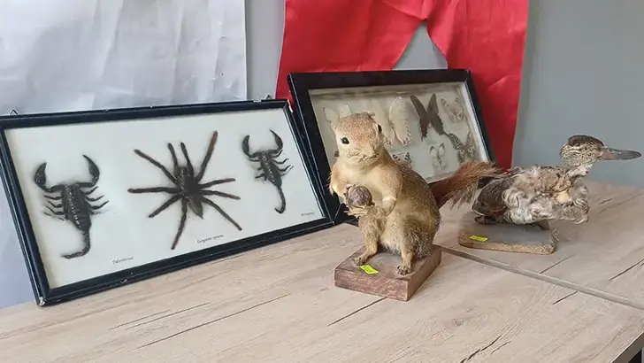 Asayiş