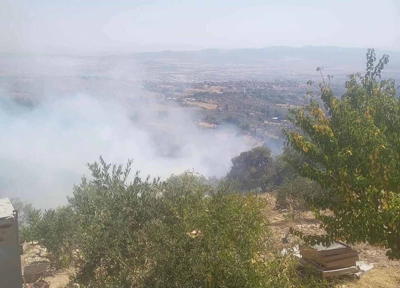 Kahramanmaraş Dulkadiroğlu’nda Ziraat Yangını (2)