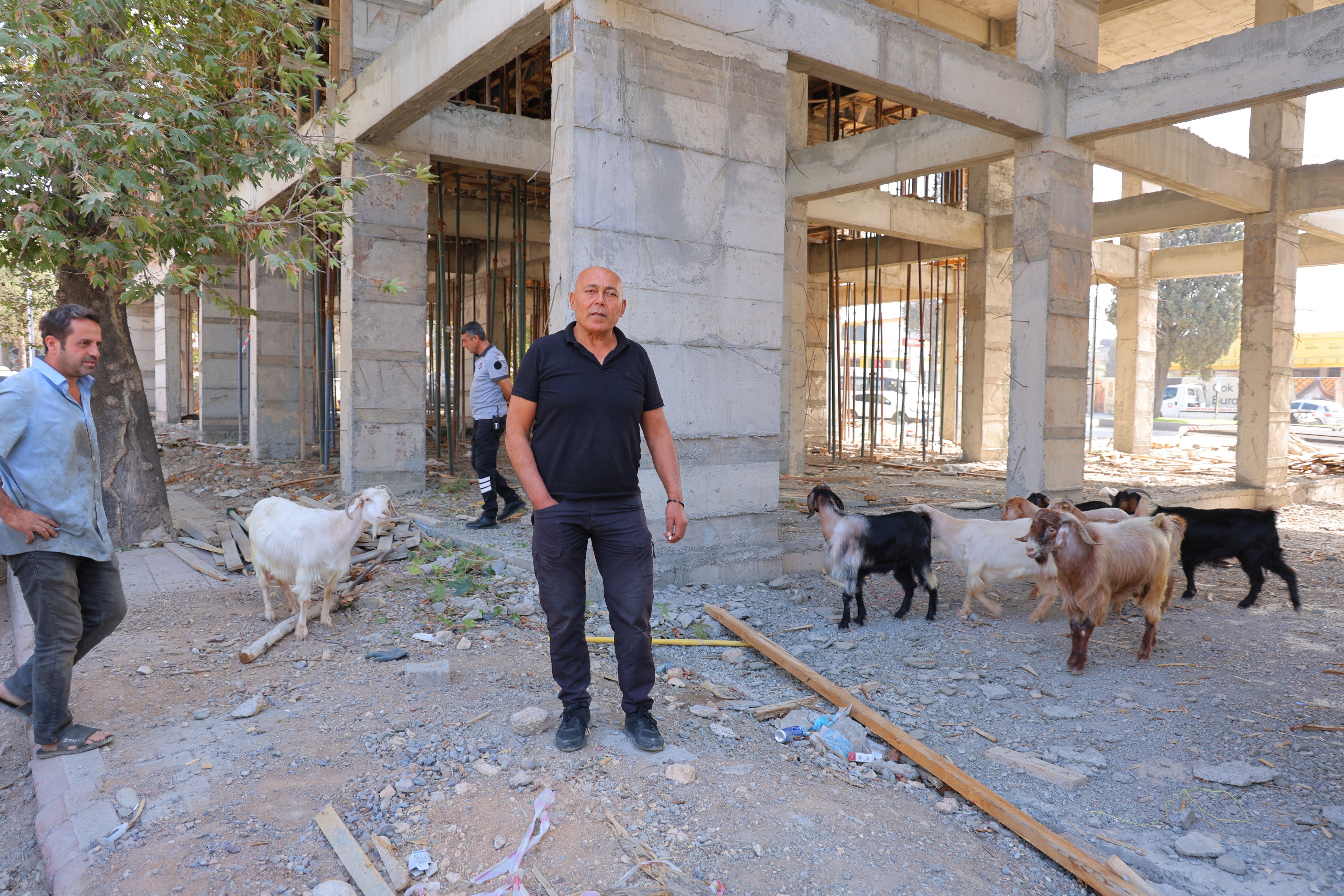 Kahramanmaraş Sanayisinde Keçi Nöbeti! 9 Keçinin Sahibi Aranıyor (1)