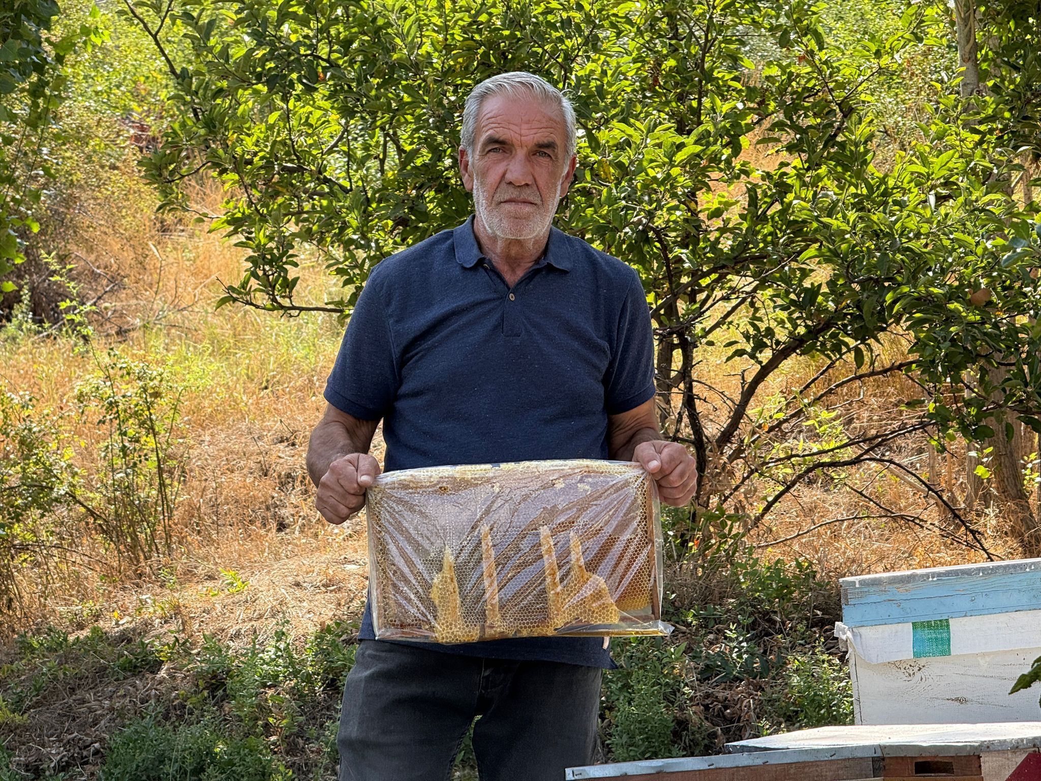 Kahramanmaraş’ta Bal Peteğinde Şaşırtan Görüntü “Allah” Yazısını Andırıyor (1)