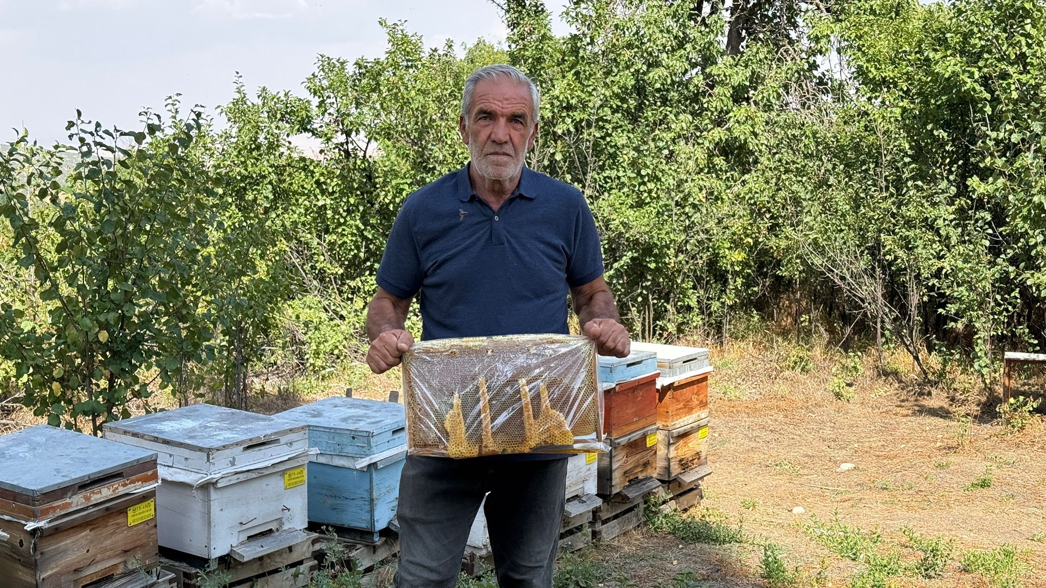 Kahramanmaraş’ta Bal Peteğinde Şaşırtan Görüntü “Allah” Yazısını Andırıyor (4)