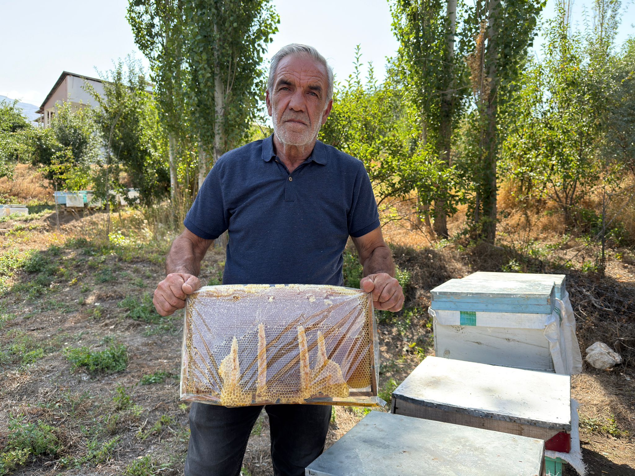 Kahramanmaraş’ta Bal Peteğinde Şaşırtan Görüntü “Allah” Yazısını Andırıyor (6)