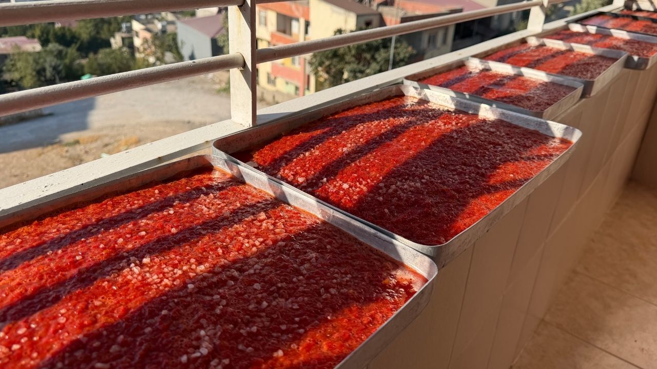 Kahramanmaraş'ta Biber Çekme Fiyatları Belli Oldu! (2)