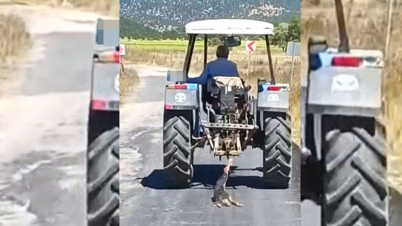 Kahramanmaraş’ta köpeği traktöre bağlayarak sürükledi