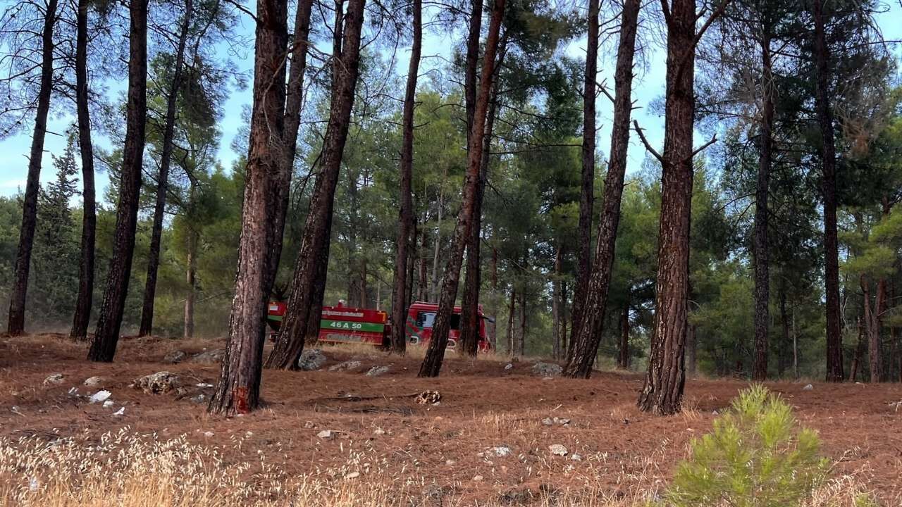Kahramanmaraş’ta orman yangını büyümeden söndürüldü