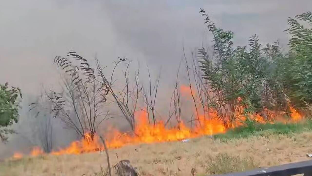 Kahramanmaraş’ta ormanlık alanda korkutan yangın!