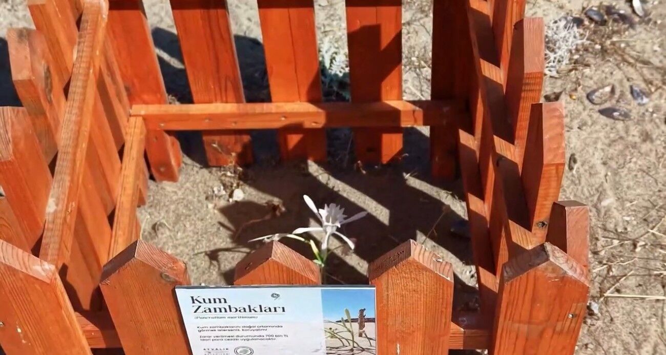 Güncel