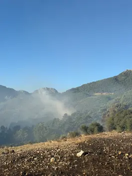 Kozan'da 2 Ayrı Noktada Orman Yangını; Yerleşim Yerleri Tedbir Amaçlı Boşaltıldı