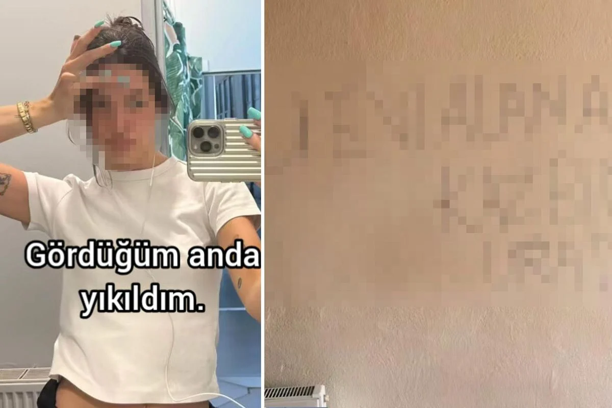 Magazin