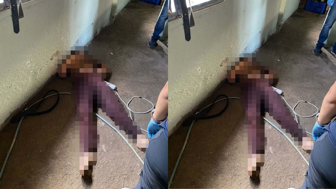Temizlik Yaparken Yaşanan Kaza Canından Etti