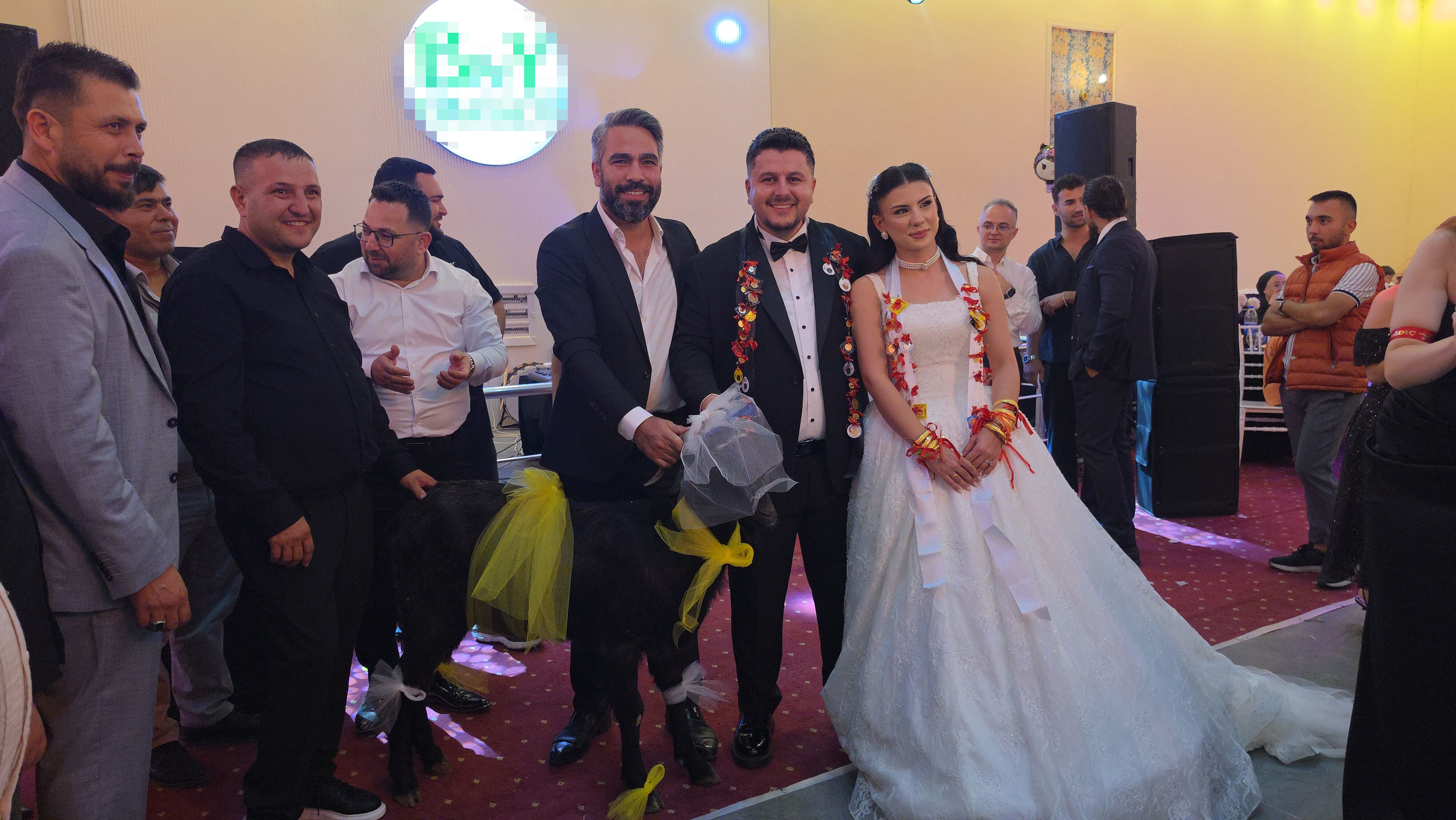 Adana’da düğünde şaşırtan hediye! Damada keçi taktı