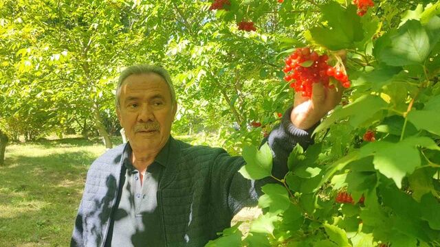 Dere Kenarlarında Yetişiyor! Toplayıp 1000 Liraya Satıyor (4)