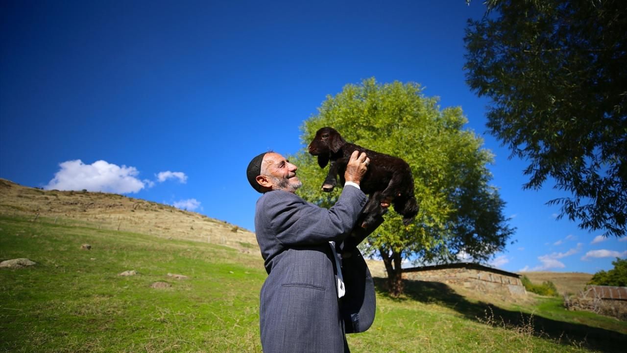 Fenomen Çobanın Koyunlara Seslenişi 18 Yıl Sonra Yine Tebessüm Ettiriyor