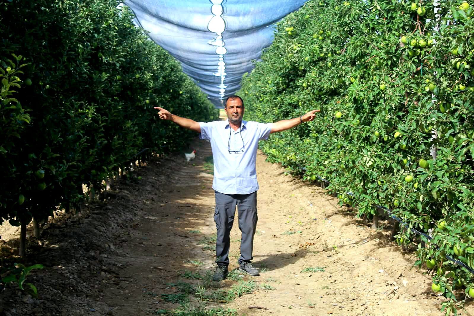 Geçen Yıl Yüzde 90 Düşmüştü, Bu Yıl Üretici Bayram Ediyor (4)
