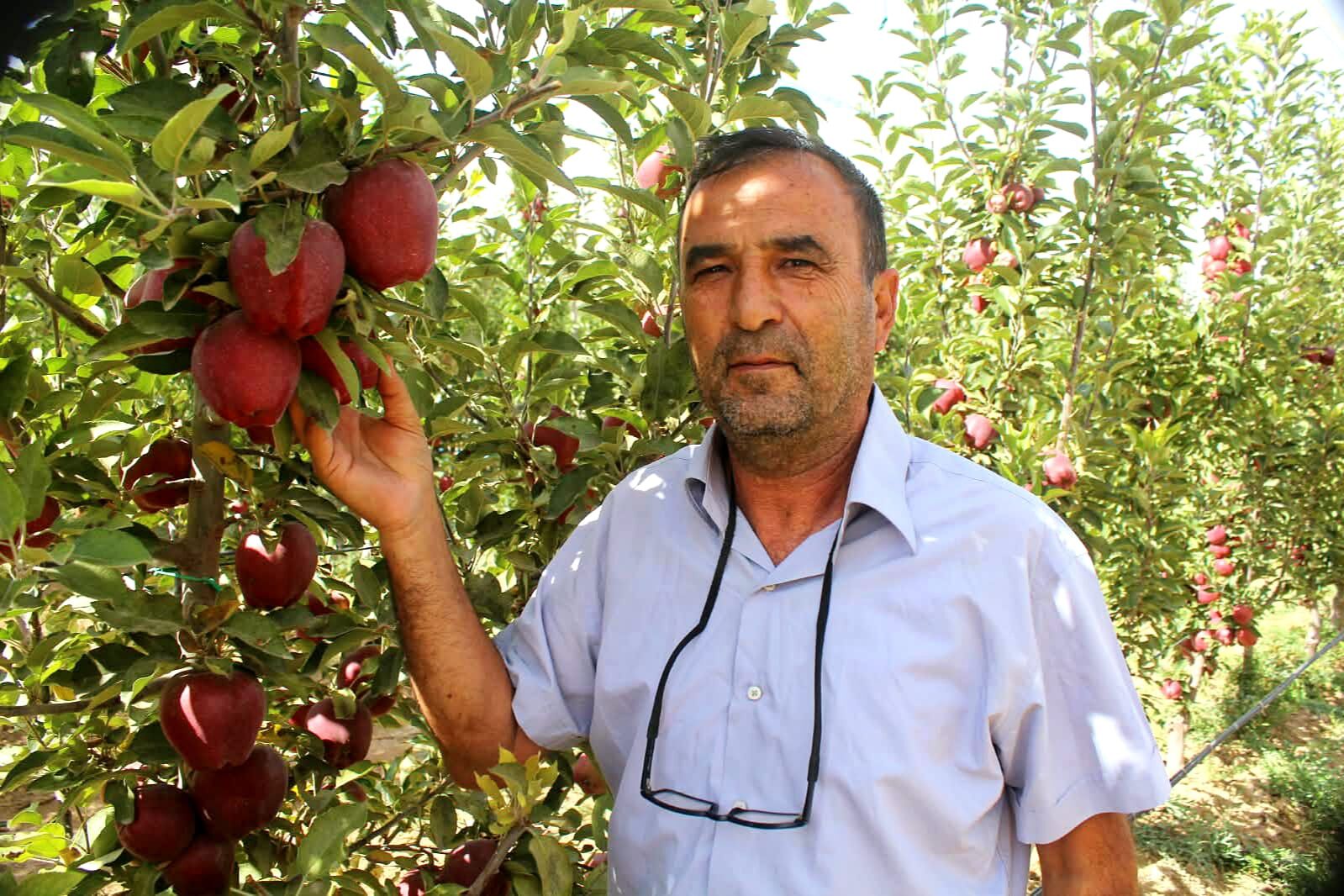 Geçen Yıl Yüzde 90 Düşmüştü, Bu Yıl Üretici Bayram Ediyor (5)