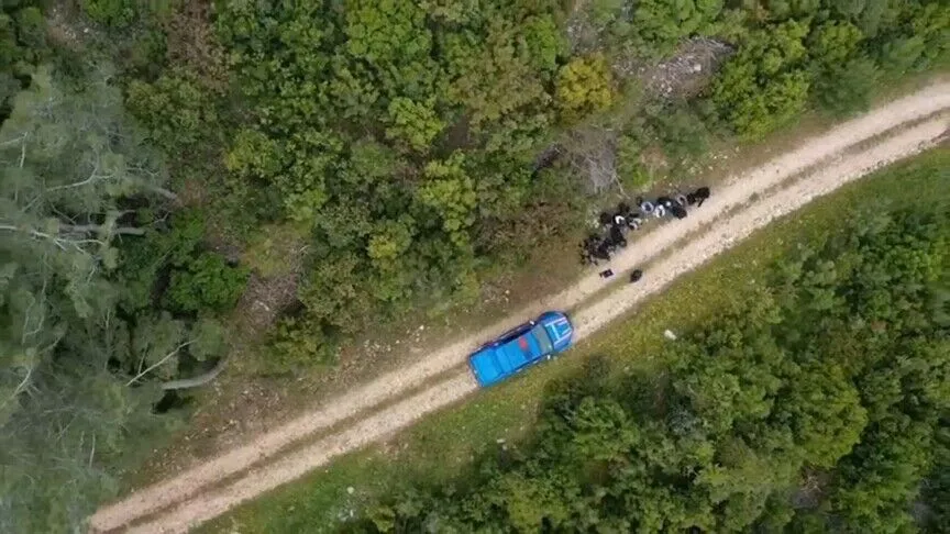 Kahramanmaraş dahil 33 ilde göçmen kaçakçılığı operasyonu