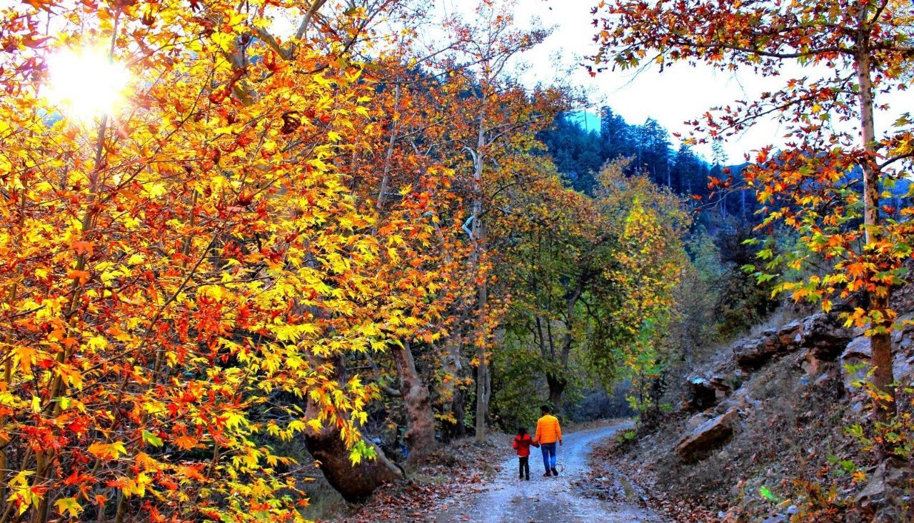 Kahramanmaraş'ın Göksun Ilçesinde Sonbahar Güzelliği! Doğa Sarı Ve Kızıl Renklere Büründü (1)