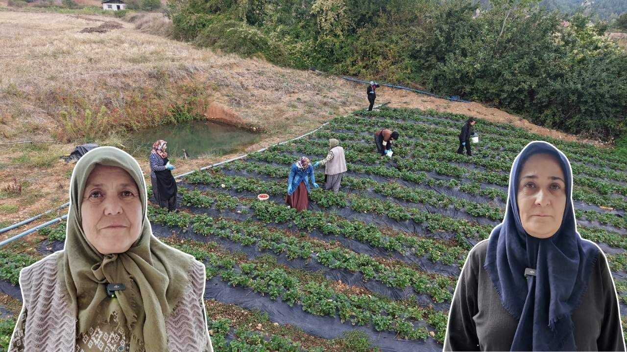 Kahramanmaraşlı kadınların emeği dijital pazara açılıyor