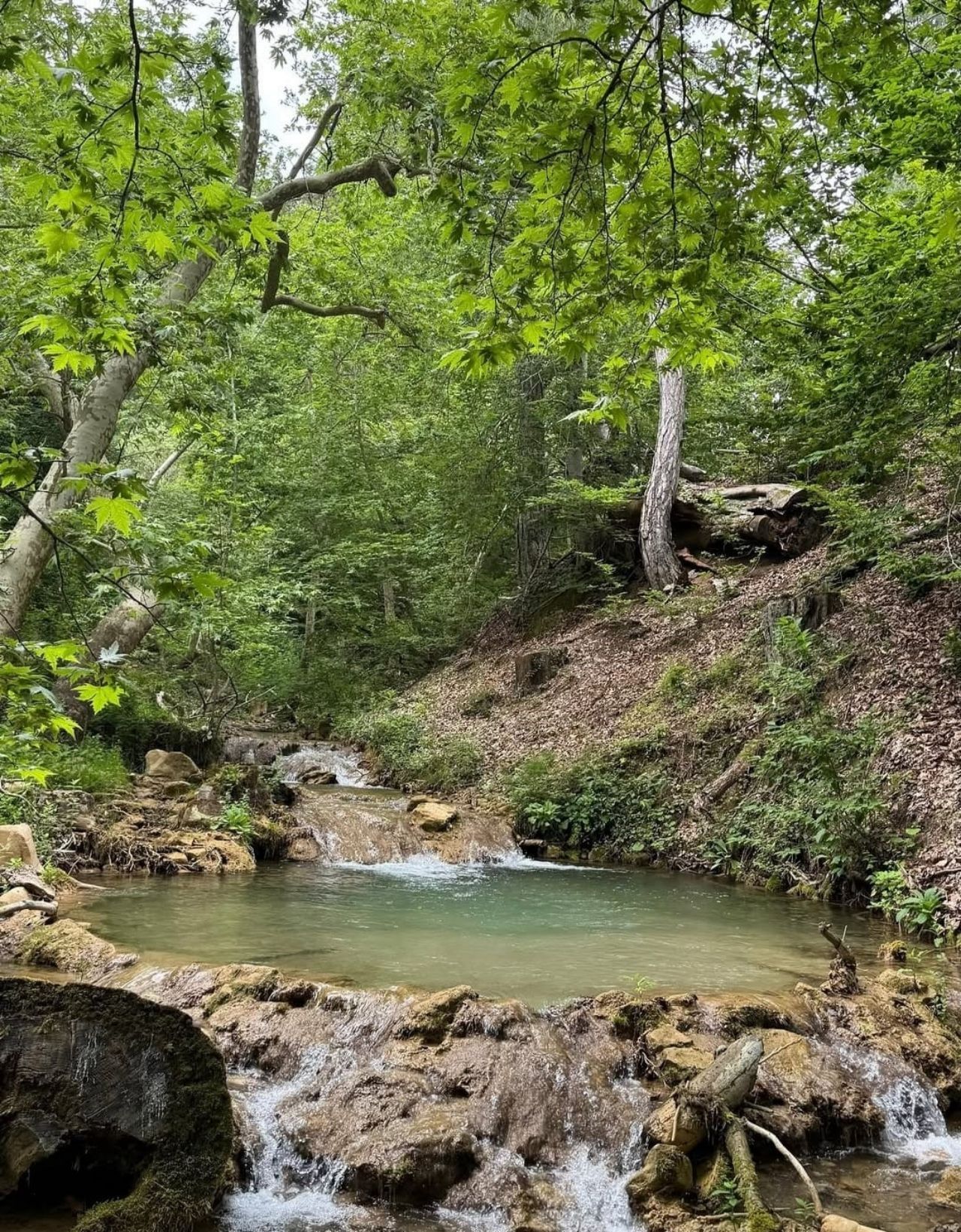 Kahramanmaraş'ta Ağaçların Arasında Gizlenen Kanyon! Fındıklı Dere Doğaseverleri Bekliyor (1)