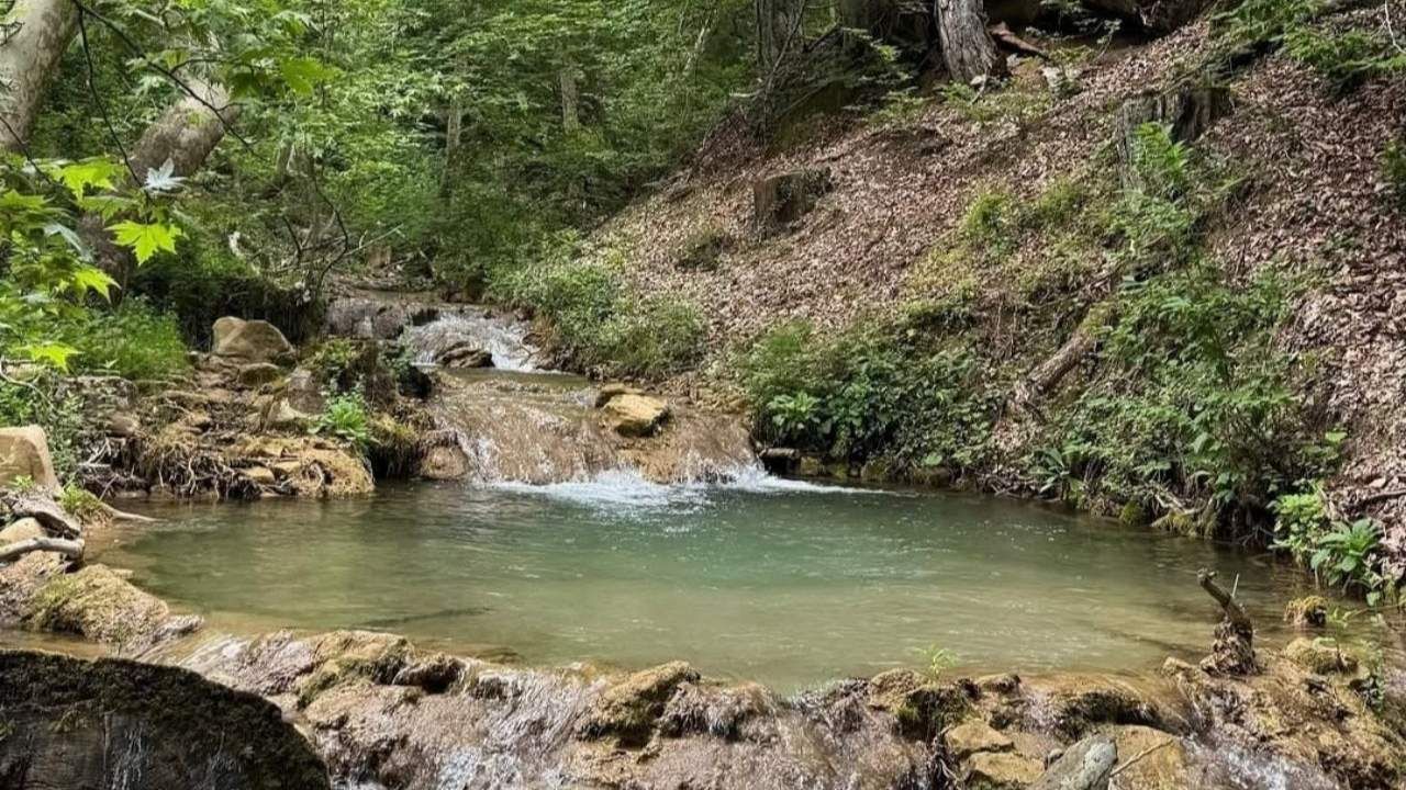 Kahramanmaraş'ta ağaçların arasında gizlenen kanyon! Fındıklı Dere doğaseverleri bekliyor