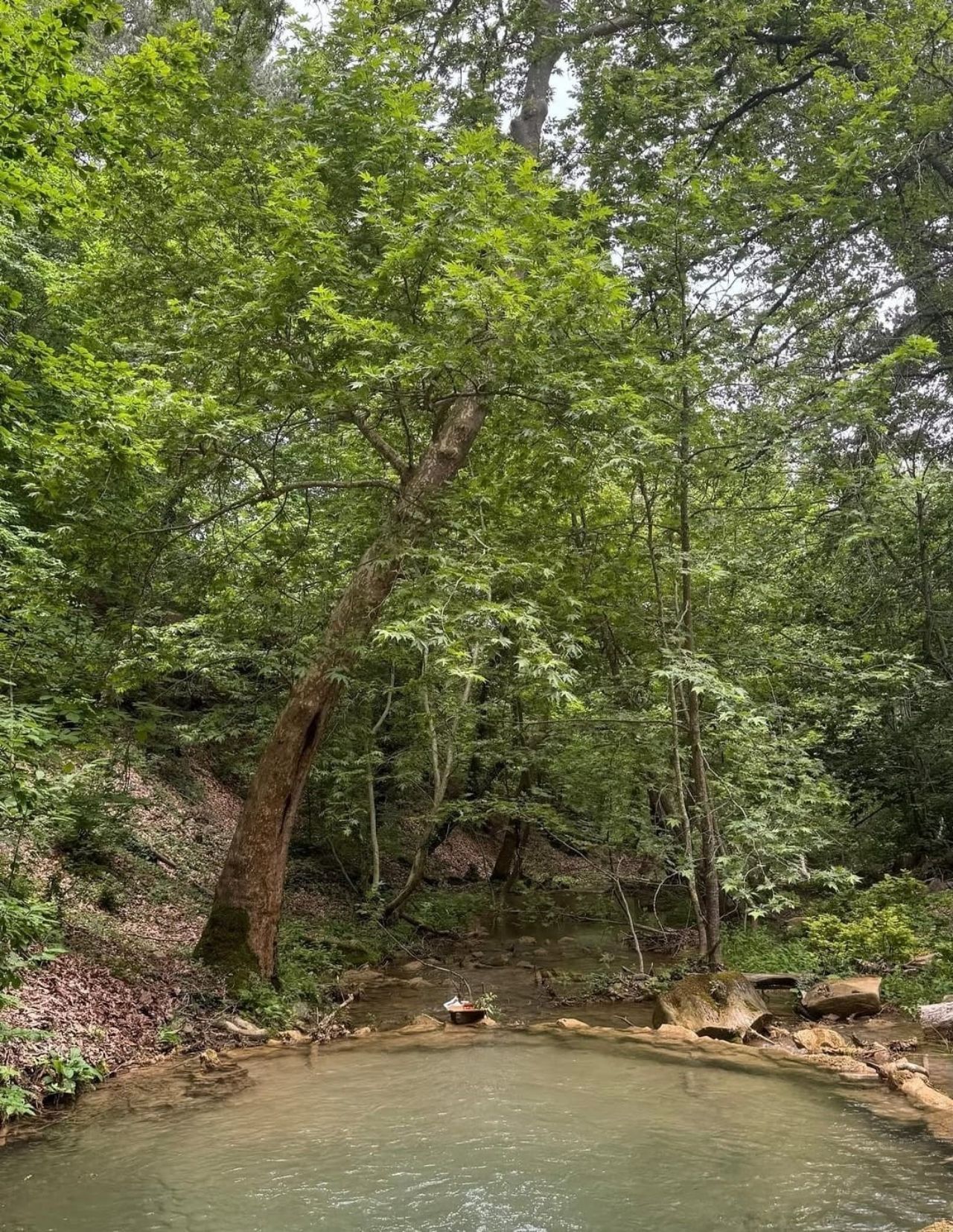 Kahramanmaraş'ta Ağaçların Arasında Gizlenen Kanyon! Fındıklı Dere Doğaseverleri Bekliyor (2)