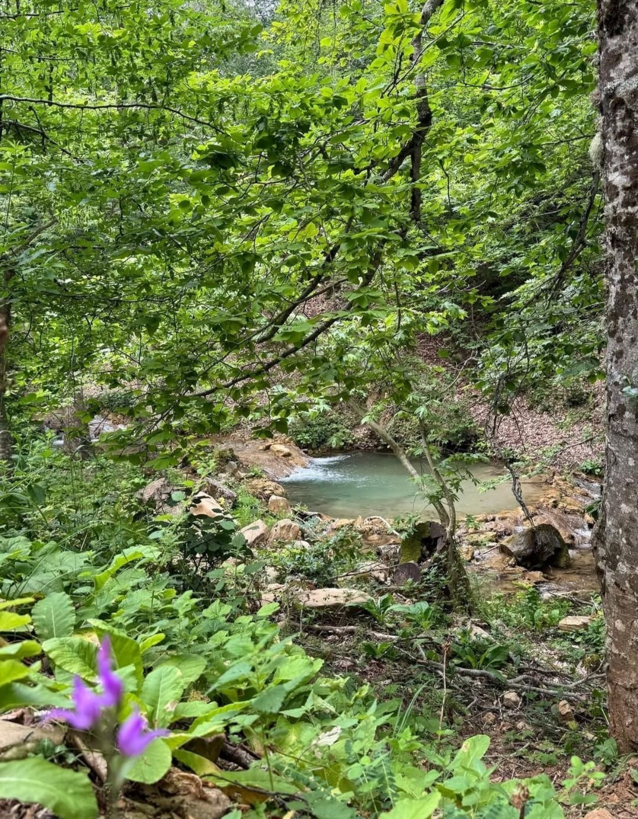Kahramanmaraş'ta Ağaçların Arasında Gizlenen Kanyon! Fındıklı Dere Doğaseverleri Bekliyor (4)