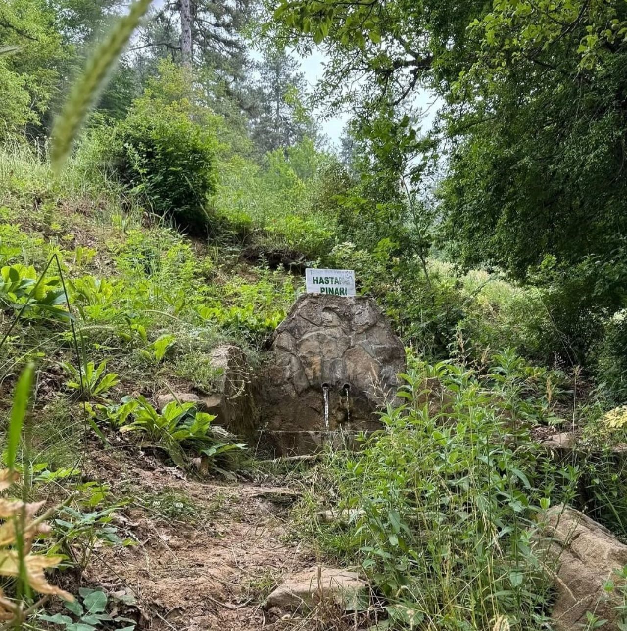 Kahramanmaraş'ta Ağaçların Arasında Gizlenen Kanyon! Fındıklı Dere Doğaseverleri Bekliyor (5)