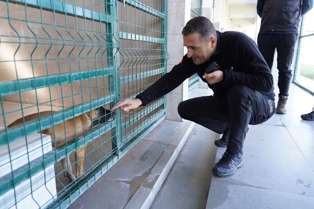 Kahramanmaraş'ta Arama Kurtarma Köpeklerinin Eğitimleri Incelendi (1)