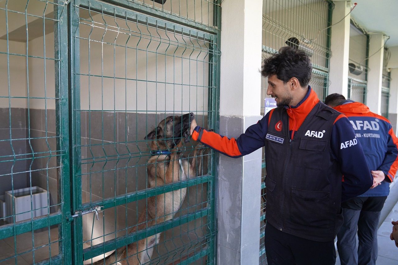 Kahramanmaraş'ta Arama Kurtarma Köpeklerinin Eğitimleri Incelendi (2)