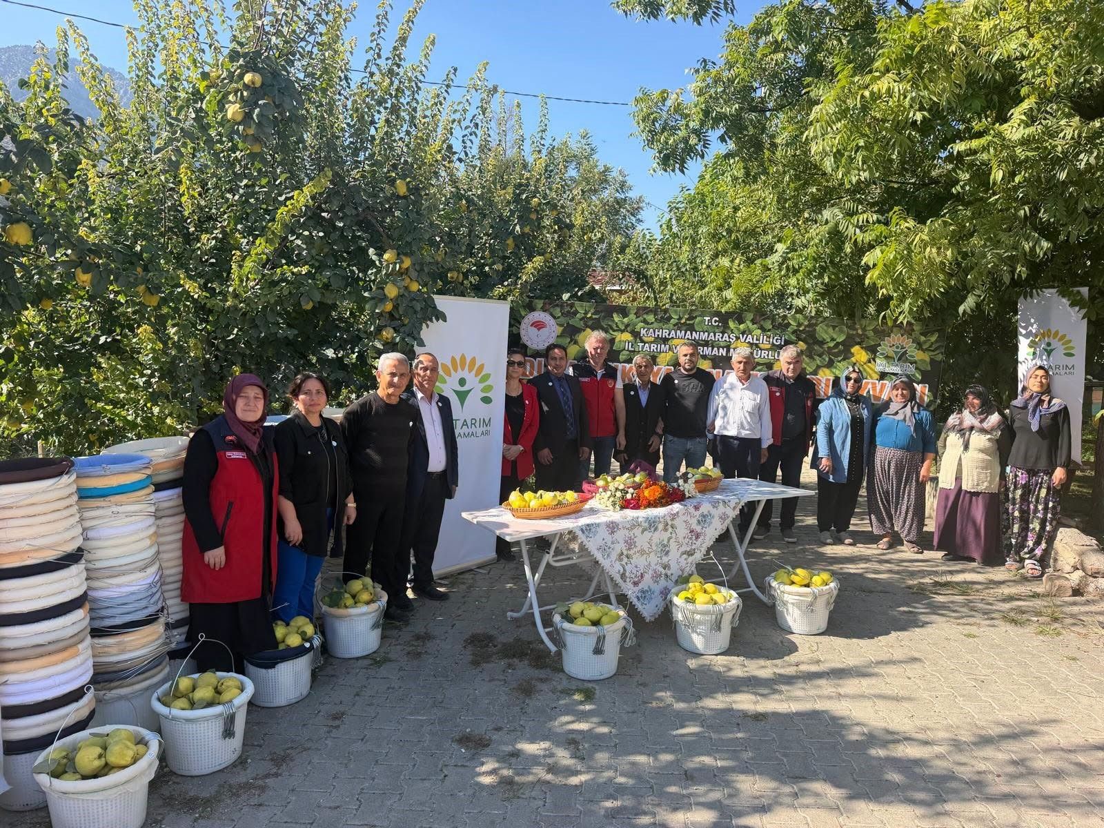 Kahramanmaraş’ta Ayva Hasadı İçin Üreticilere Ekipman Dağıtıldı (1)