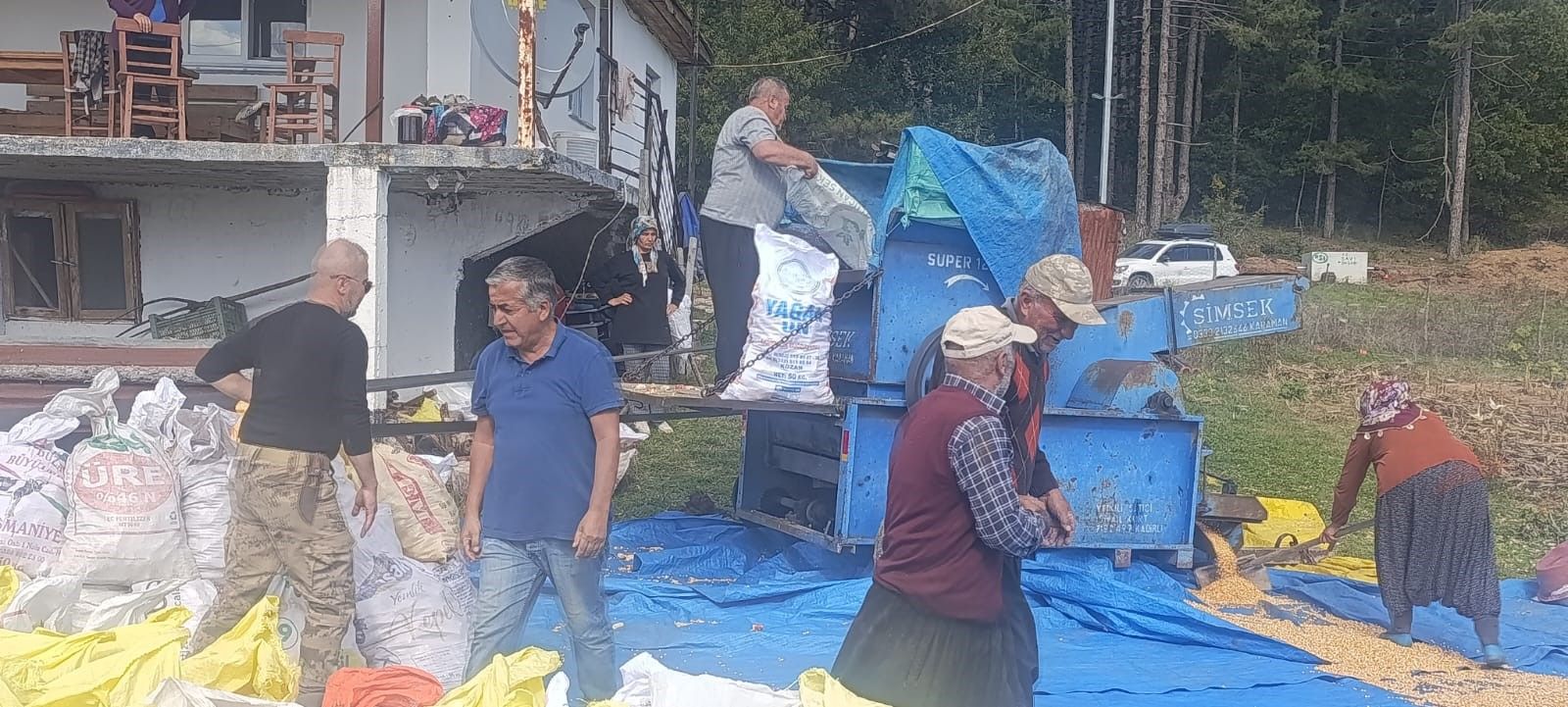 Kahramanmaraş’ta Gelenek Değişmedi! Mısırlar Evlerin Önünde Kurutuluyor (5)