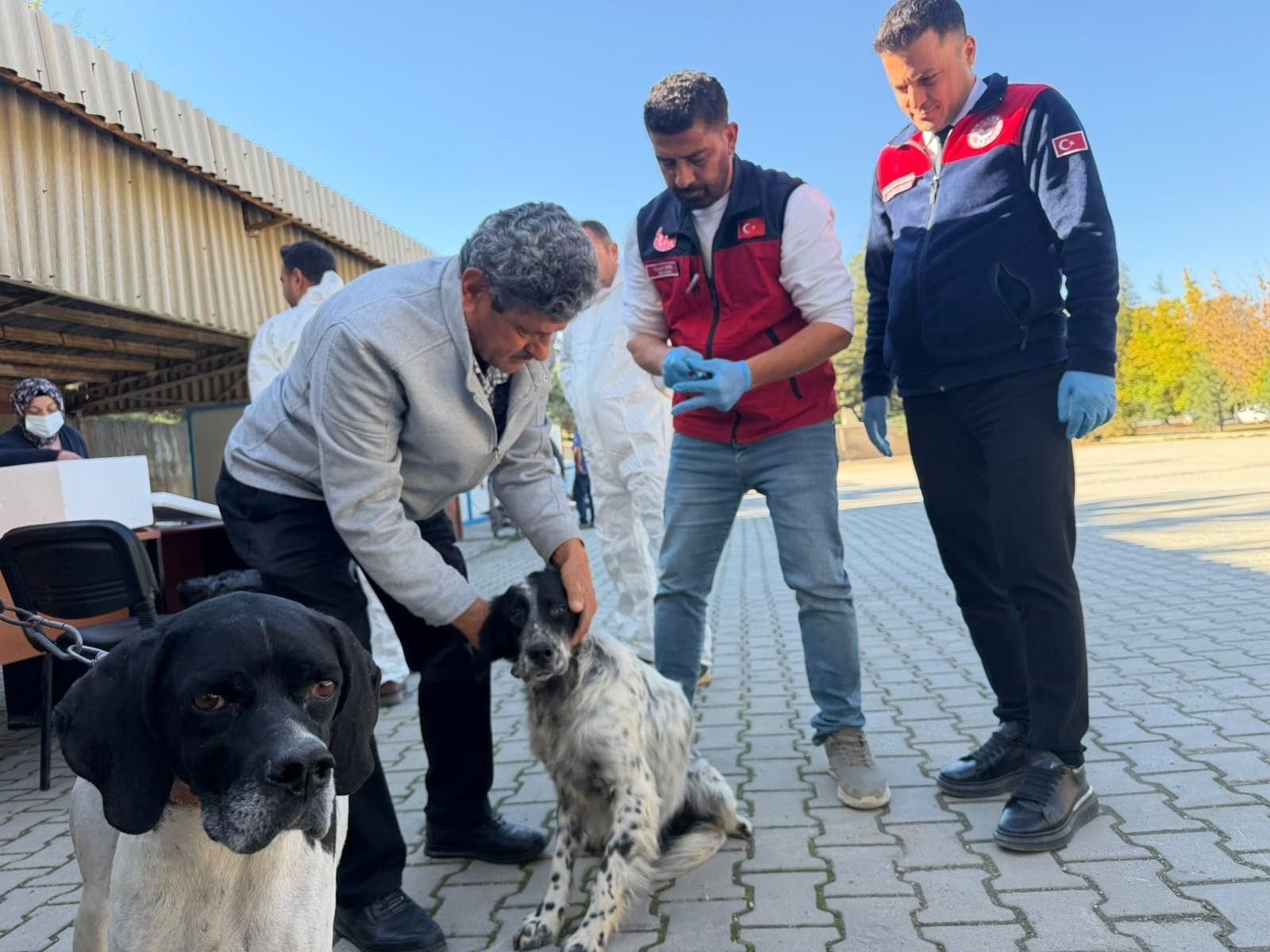 Kahramanmaraş’ta Kedi Ve Köpeklere Mikroçip Takıldı (1)