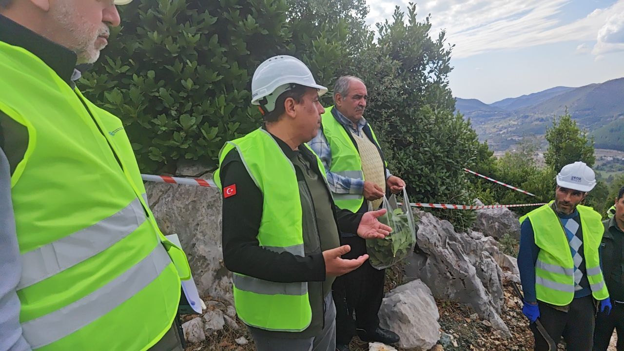 Kahramanmaraş'ta Kilosu 3 Liraya Toplanıyor, Işlenince 10 Bin Liraya Ulaşıyor (3)