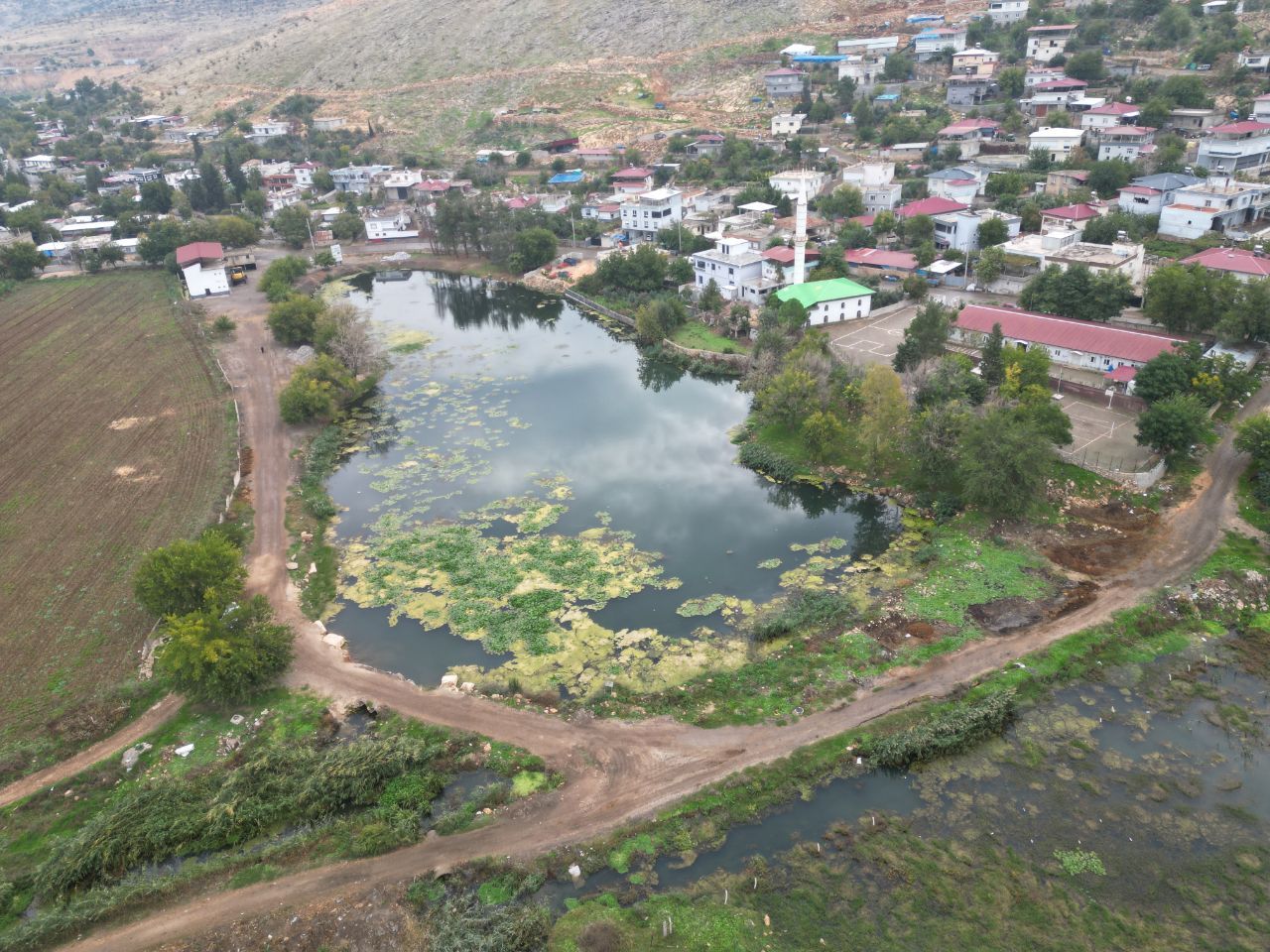 Kahramanmaraş'ta Nilüfer Çiçekleri Tehlikede! İki Gölde Çevre Kirliliği Alarmı (9)
