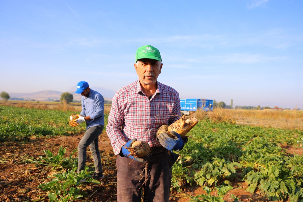 Kahramanmaraş'ta Şeker Pancarı Hasadı Başladı! 500 Bin Tonluk Rekolte Bekleniyor (2)