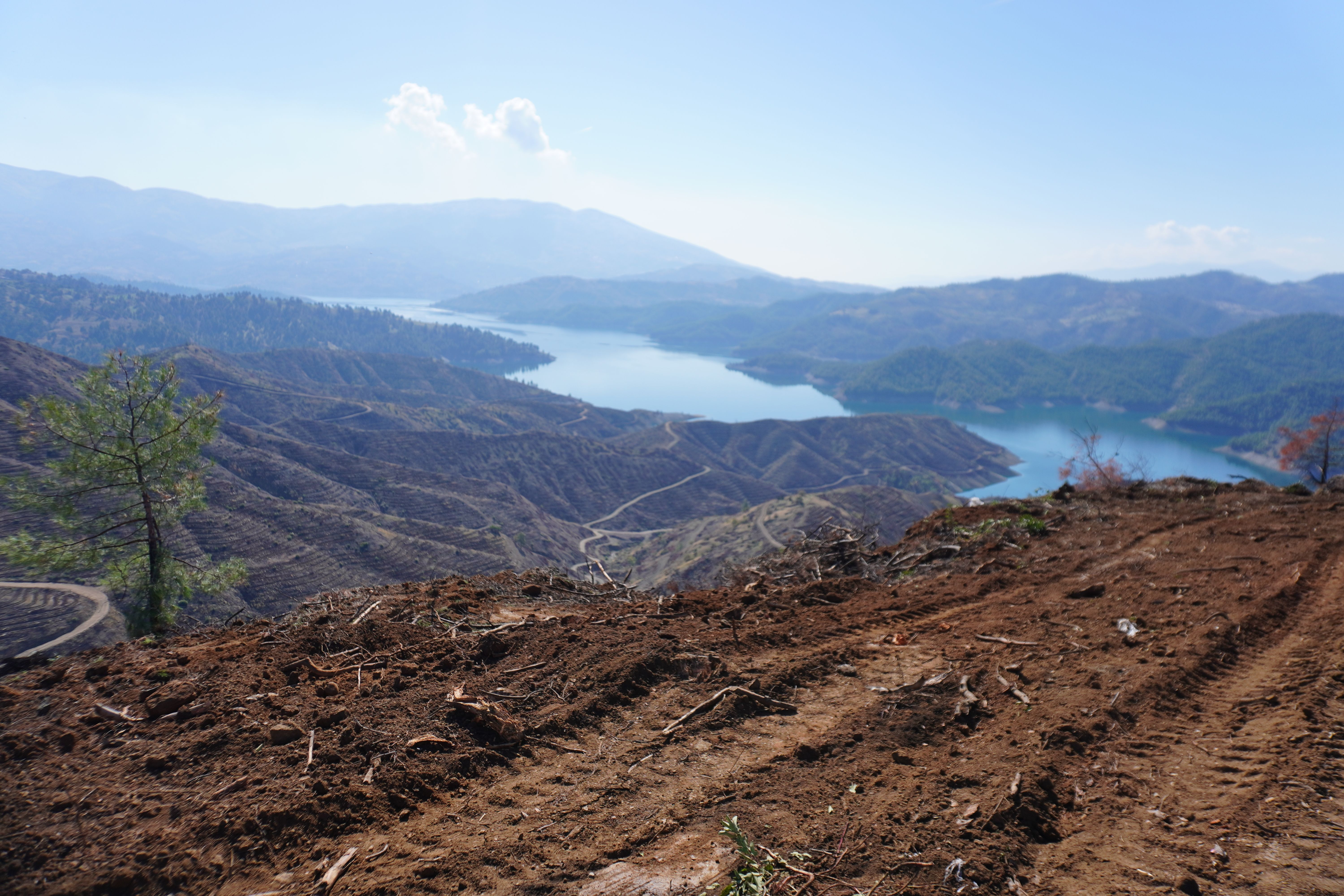 Kahramanmaraş’ta Yanan Ormanlar İçin 1 Milyon Fidan Dikilecek (3)