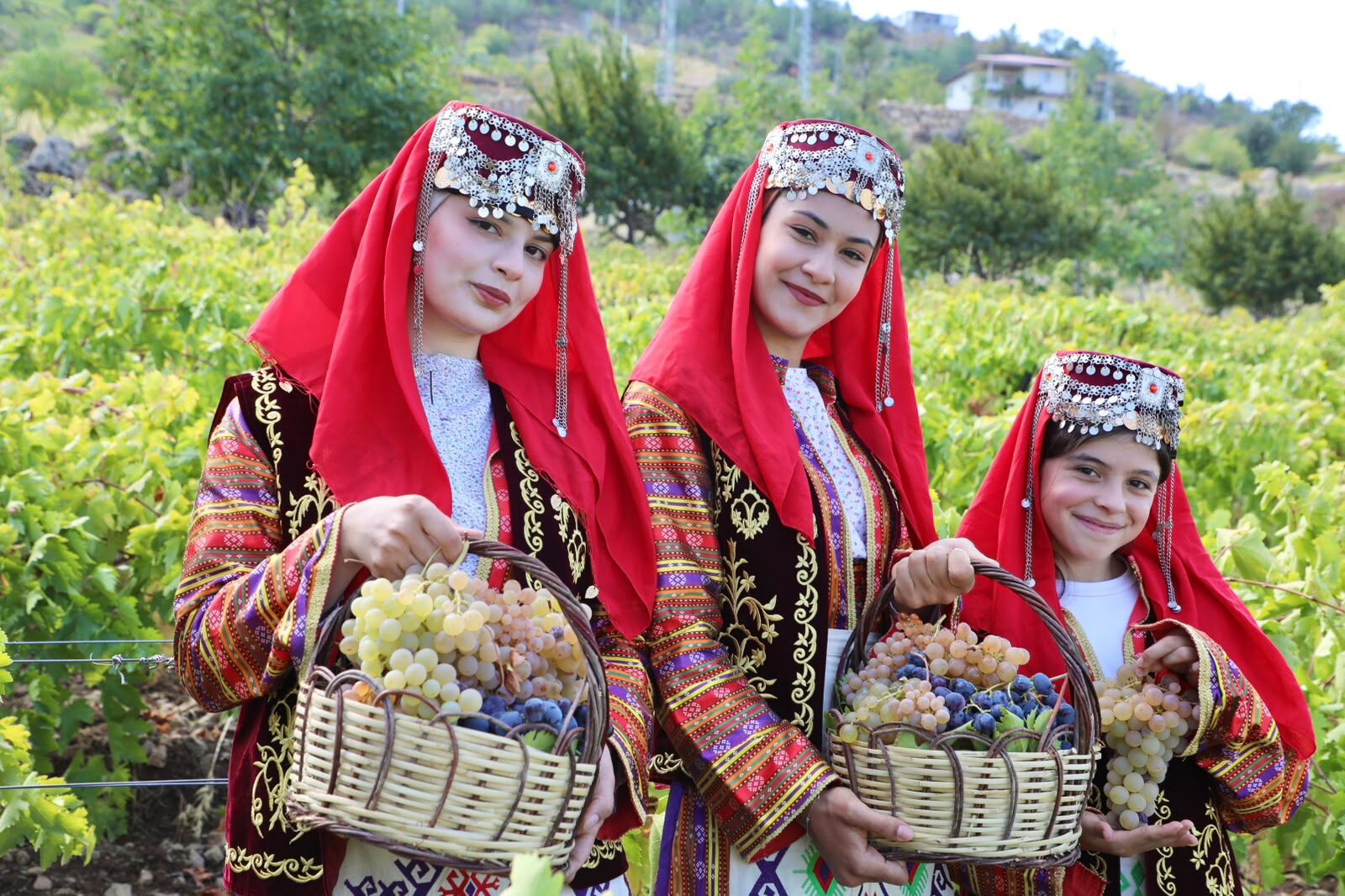 Kahramanmaraş’ta Yılların Geleneği Unutulmadı Üzümler Toplandı (6)