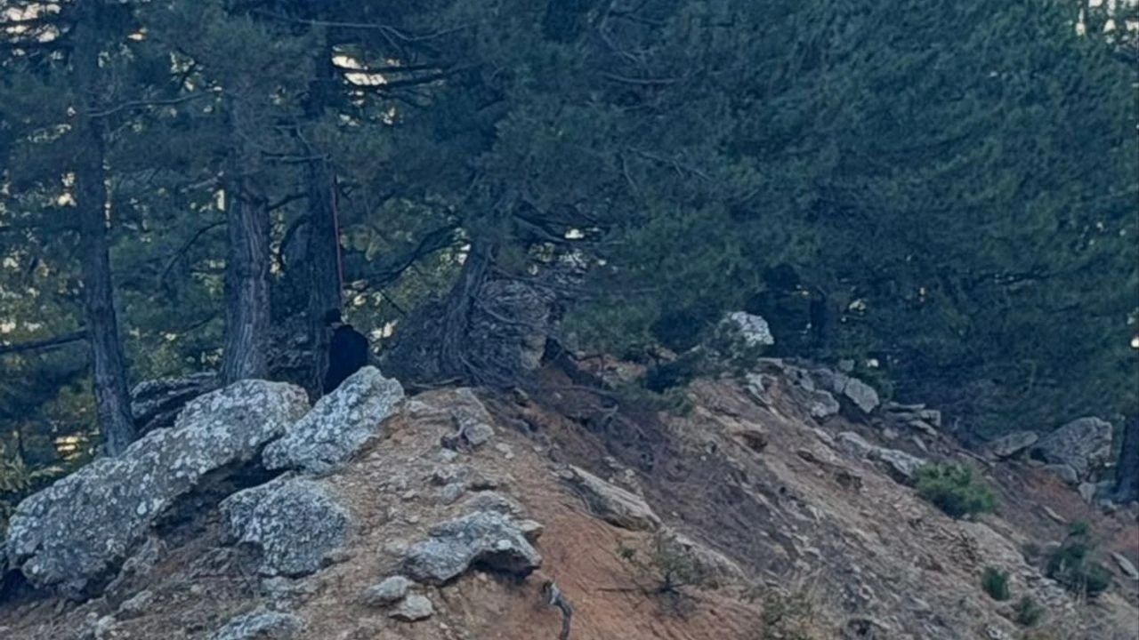 Kahramanmaraş'ta yol kenarında 24 yaşındaki gencin cansız bedeni bulundu