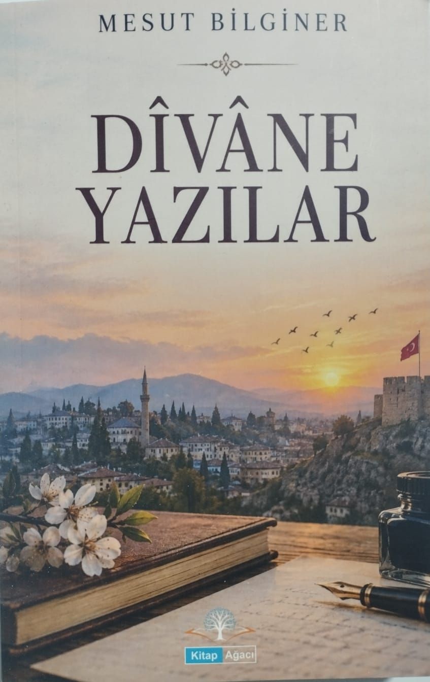 Mesut Bilginer’in “Divane Yazılar”I Üzerine… (2)