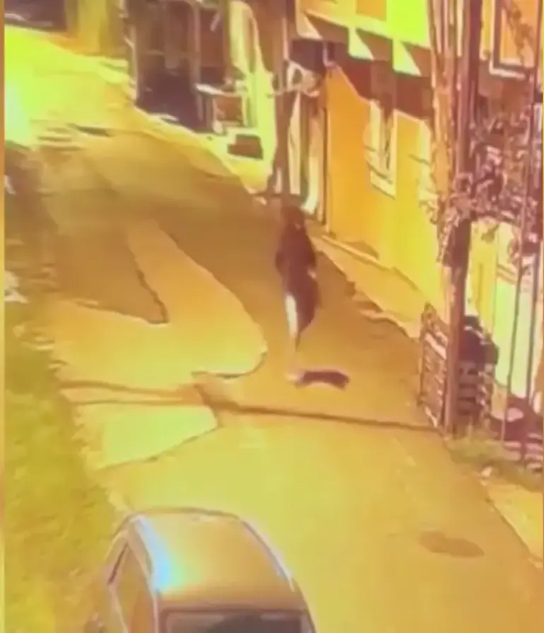 Pendik'te Haraç Istedikleri Iş Insanı Sanıp Yemek Getiren Kuryeyi Silahla Vurdular